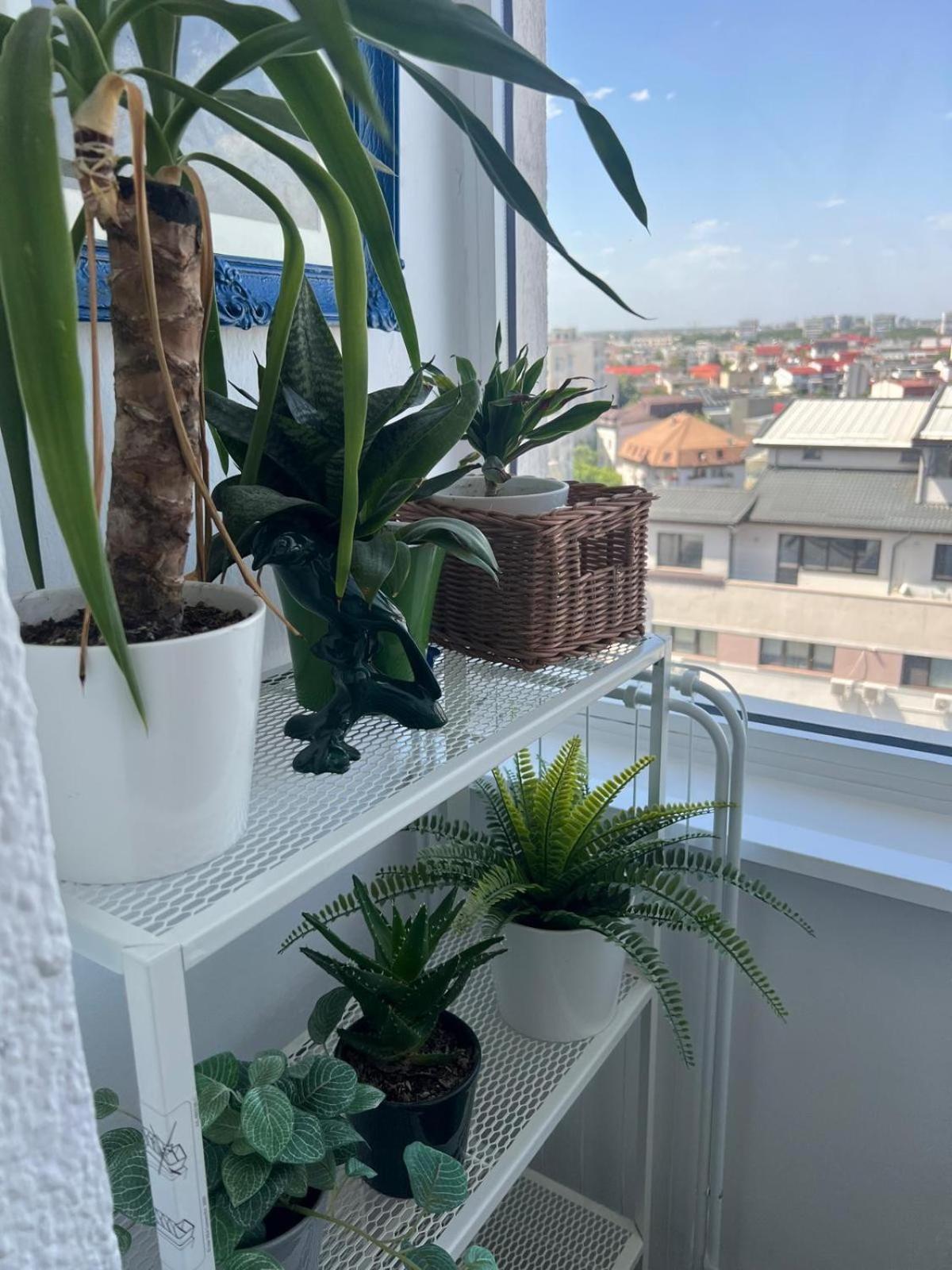 1Bdr Apartment Perla 225 布加勒斯特 外观 照片